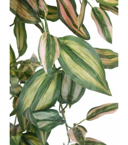 Tradescantia artificiel tombant