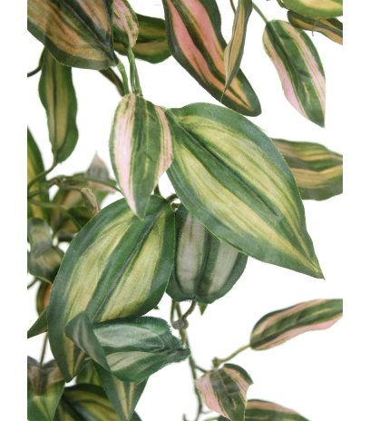 Tradescantia artificiel tombant