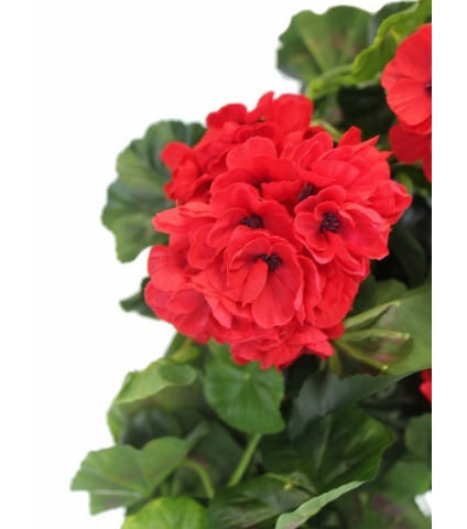 Chute de géranium artificielle