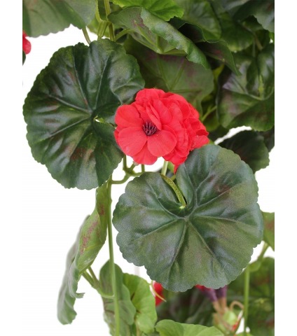 Chute de géranium artificielle