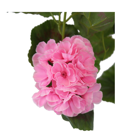 Chute de géranium artificielle rose