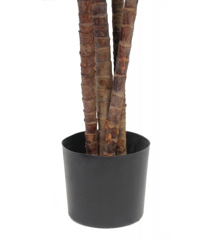 Dracaena indivisa artificiel