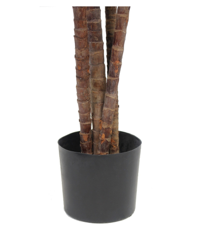 Dracaena indivisa artificiel