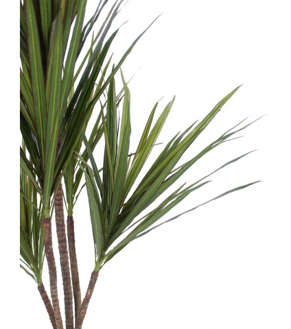 Dracaena indivisa artificiel