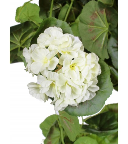 Chute de géranium artificielle blanche