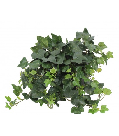 Petit lierre gala artificiel