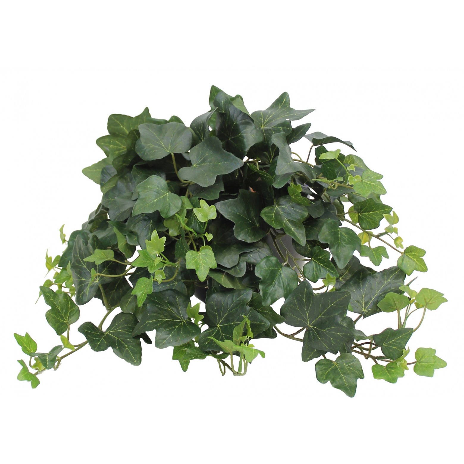 Omabeta Treillis de lierre artificiel extensible vert 186x70 cm