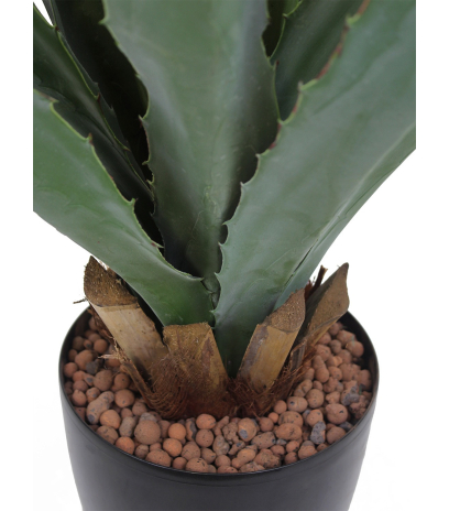 Agave montana artificiel