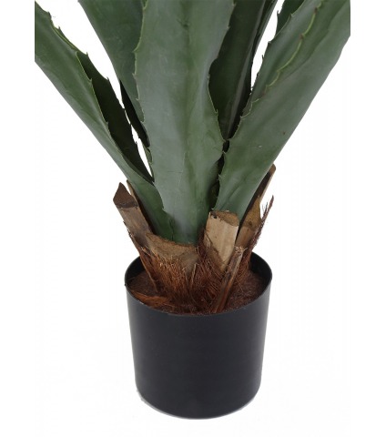 Agave montana artificiel