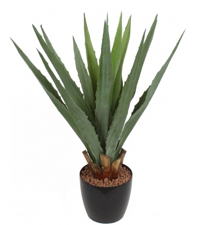 Agave montana artificiel