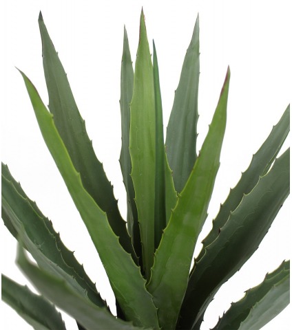 Agave montana artificiel