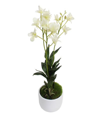 Dendrobium artificiel fleuri