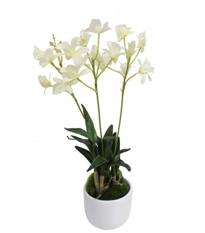 Dendrobium artificiel fleuri