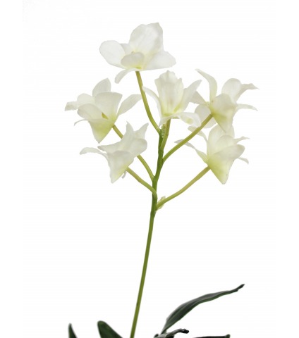 Dendrobium artificiel fleuri