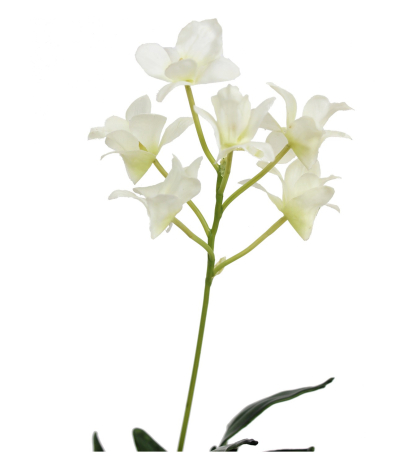 Dendrobium artificiel fleuri