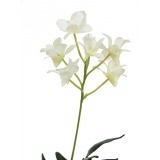 Dendrobium artificiel fleuri