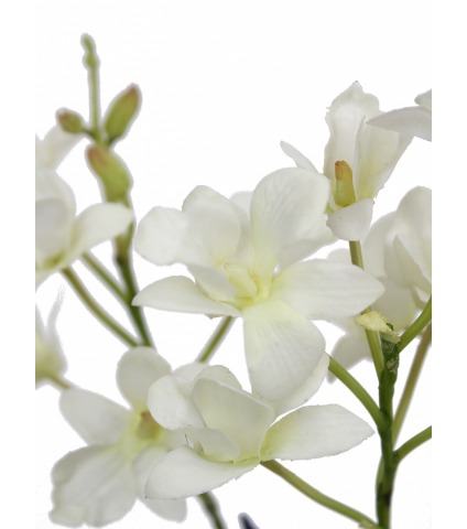 Dendrobium artificiel fleuri