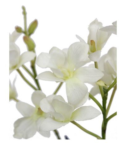Dendrobium artificiel fleuri