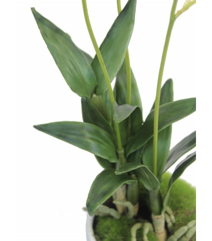 Dendrobium artificiel fleuri