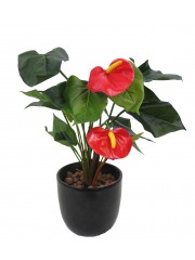 Petit anthurium artificiel