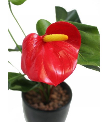 Petit anthurium artificiel