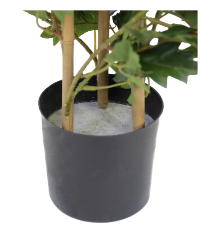 Cissus artificiel