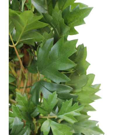 Cissus artificiel