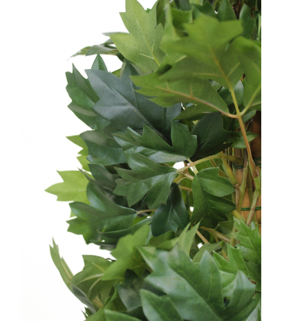 Cissus artificiel