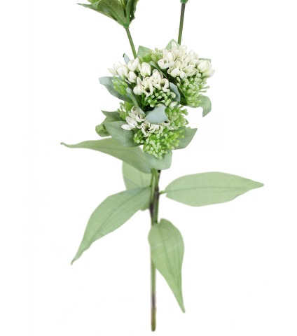 Calépine artificielle