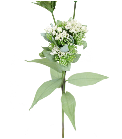 Calépine artificielle