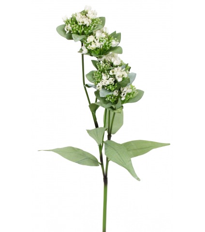 Calépine artificielle