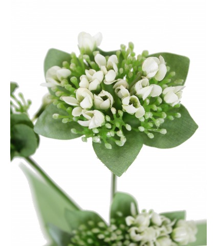 Calépine artificielle