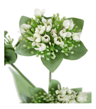 Calépine artificielle