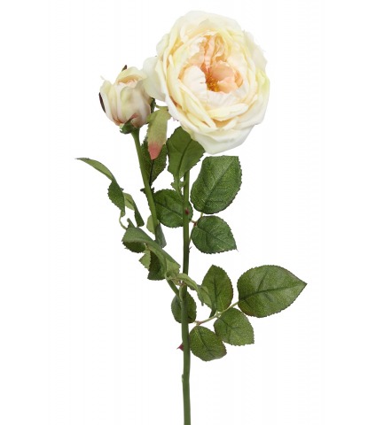 Rose de damas artificielle blanc crème
