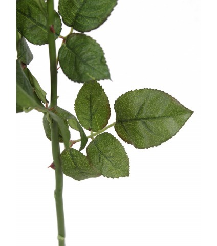 Rose de damas artificielle blanc crème