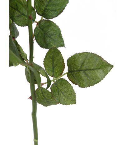 Rose de damas artificielle blanc crème