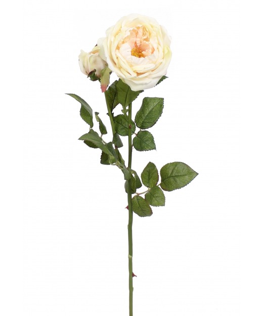 Rose de damas artificielle blanc crème