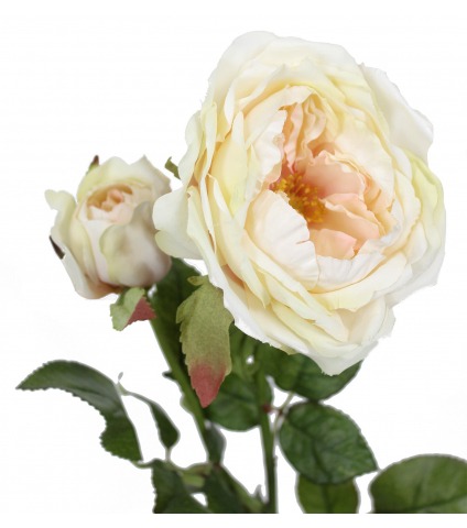 Rose de damas artificielle blanc crème