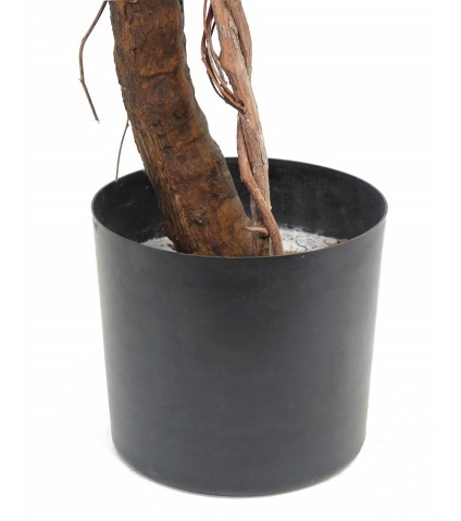 Vigne grimpante artificielle