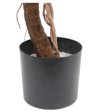 Vigne grimpante artificielle