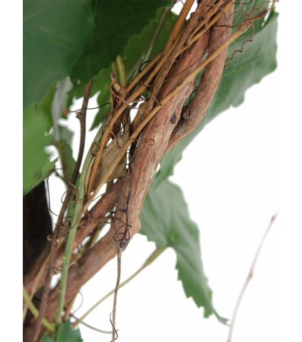 Vigne grimpante artificielle