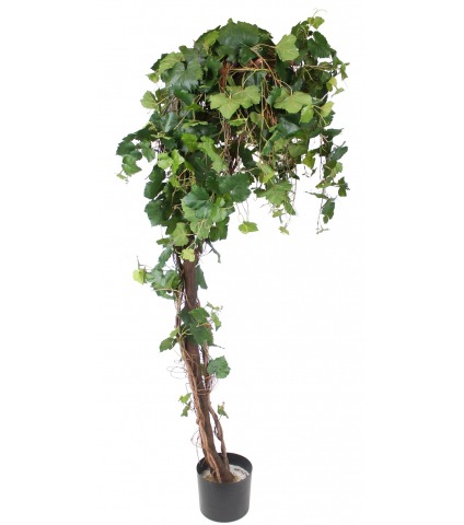 Vigne grimpante artificielle