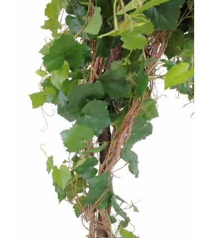 Vigne grimpante artificielle