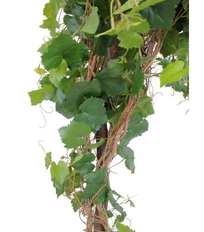 Vigne grimpante artificielle