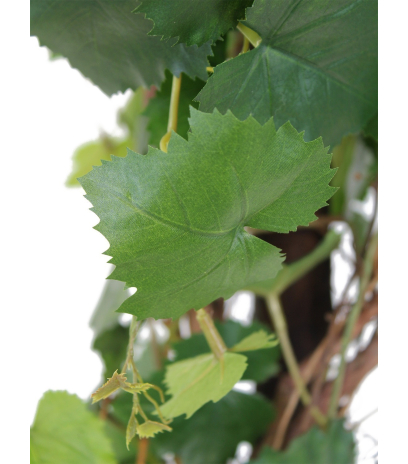 Vigne grimpante artificielle