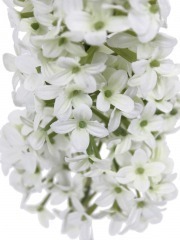 Grand lilas artificiel blanc