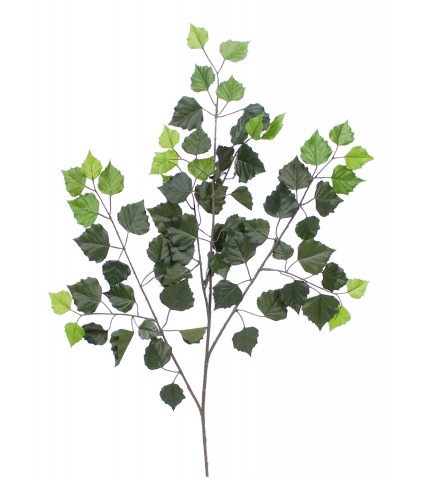 Feuille de bouleau artificielle