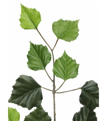 Feuille de bouleau artificielle