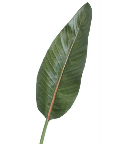 Strelitzia artificiel