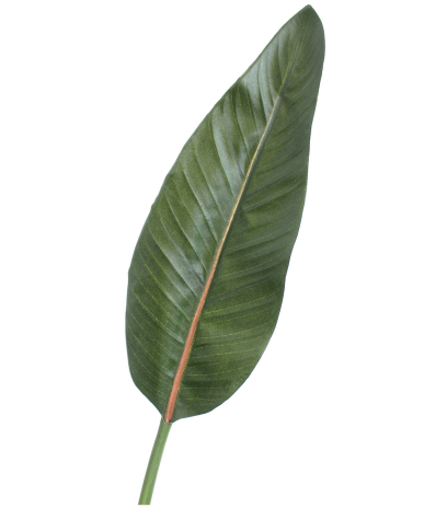 Strelitzia artificiel